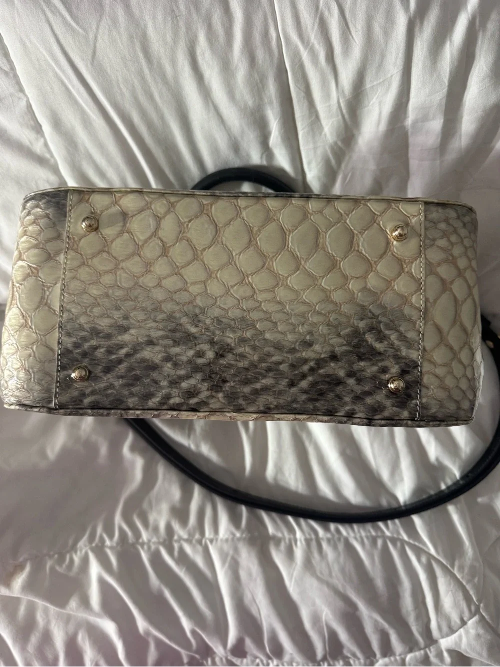 Brahmin Python-Embossed Satchel in Cream and Black